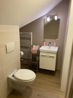 a bathroom with a toilet and a sink at Resort Vidmar near Bled - rooms Vidmar in Lesce
