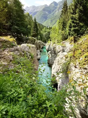 a river in a canyon with rocks and trees at Beti Blu, Kaninska vas in Bovec