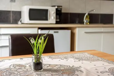 a vase with a plant on a table in a kitchen at Apartmaji SLATENIK in Bovec