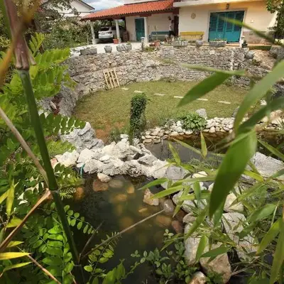 Vila Salamander