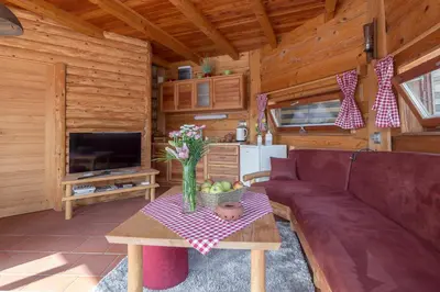 a living room with a couch and a table at Wellness hiska Izabela in Križevci pri Ljutomeru