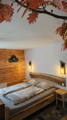 a bedroom with two beds with wooden walls at Lepa Lopa resort in Stahovica