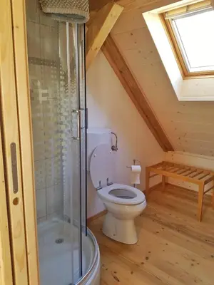 a bathroom with a toilet and a shower in a attic at Apartma 10th Mountain, Bovec in Bovec