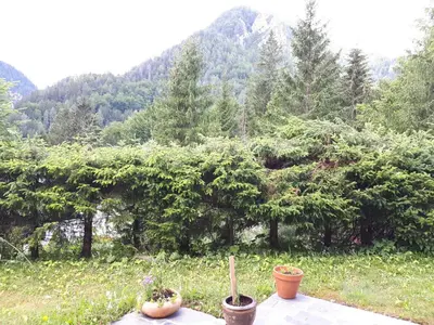 a group of potted plants sitting on a patio at Holiday House Jasna in Kranjska Gora
