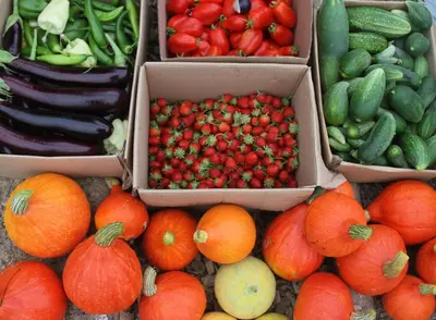 a display of fruits and vegetables on a table at Lavender Hill, Eko Resort & Wellness in Polzela