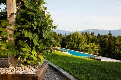 a yard with a swimming pool and green grass at Lavender Hill, Eko Resort & Wellness in Polzela