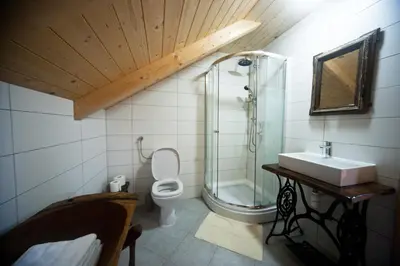 a bathroom with a shower and a toilet and a sink at Lavender Hill, Eko Resort & Wellness in Polzela