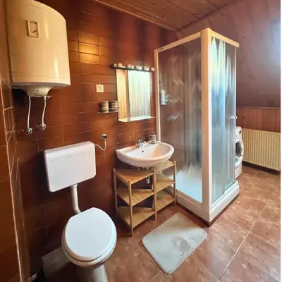 a bathroom with a toilet and a shower and a sink at Apartments Korošec Breda in Bohinj