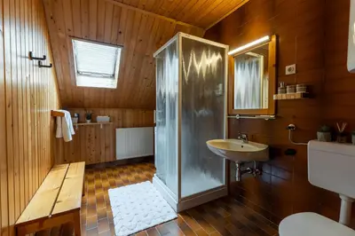 a bathroom with a shower and a sink at Apartments Korošec Breda in Bohinj
