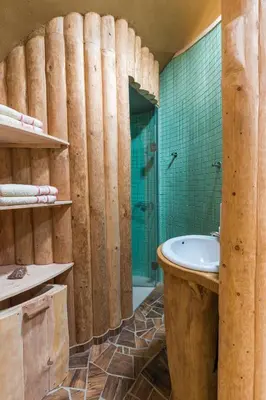 a bathroom with wooden walls and a tub and a shower at Apartma Zemljanka in Ljutomer
