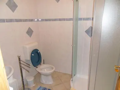 a bathroom with a toilet and a glass shower at Apartma Slavc in Kranjska Gora