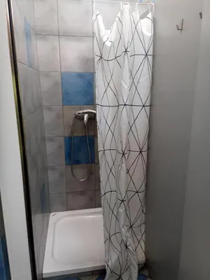 a bathroom with a shower and a bath tub at House Budkovič in Bohinj