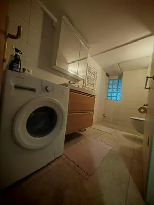 a washing machine in a bathroom with a sink at Nauportus in Vrhnika