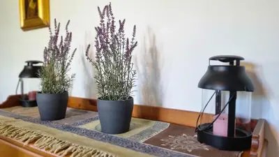 three potted plants sitting on a table with a lamp at Moja Vila Bled in Bled