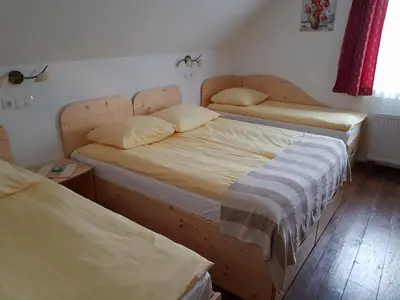 a bedroom with two beds and a window at Mama's House in Cerklje na Gorenjskem
