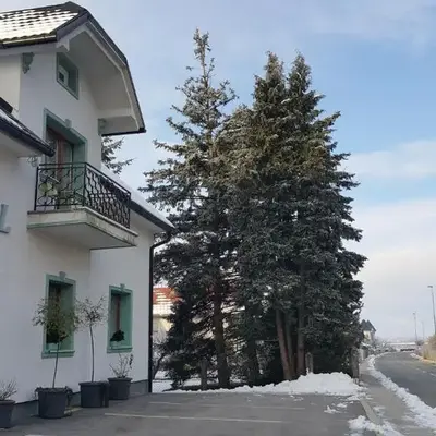 Mama's House