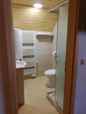 a bathroom with a toilet and a sink at Apartmaji Vrhovnik in Cerklje na Gorenjskem