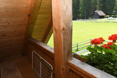 a window on a porch with red flowers and a field at POČITNIŠKA HIŠA JURČEK POKLJUKA in Goreljek