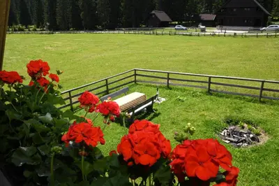 a bench in a field with red flowers and a fence at POČITNIŠKA HIŠA JURČEK POKLJUKA in Goreljek
