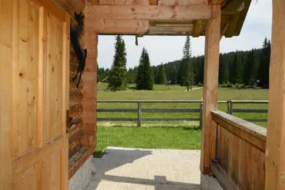 an open door of a wooden cabin with a view of a field at POČITNIŠKA HIŠA JURČEK POKLJUKA in Goreljek