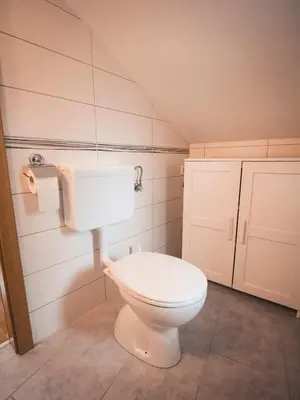 a bathroom with a white toilet in a room at Studio Kolman in Bled