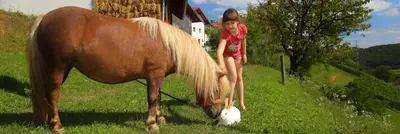 a little girl is playing with a horse at Relax Guest House Marjanca in Rogaška Slatina