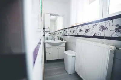 a bathroom with a sink and a toilet and a mirror at Apartma pri Boštjanu in Škofja Loka