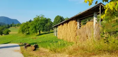 a group of animals standing in the grass next to a building at Apartma pri Boštjanu in Škofja Loka