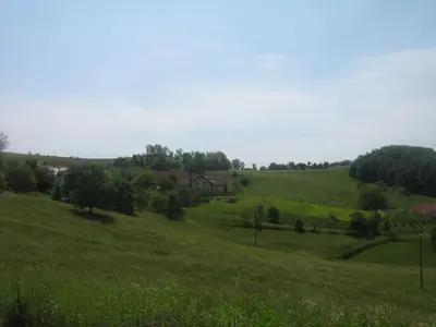 a field of green grass with a house in the distance at Tourist Farm Joannes in Maribor