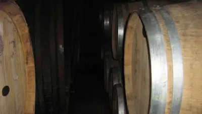 a couple of wine barrels in a cellar at Tourist Farm Joannes in Maribor
