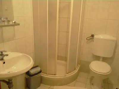 a bathroom with a shower and a toilet and a sink at Tourist Farm Joannes in Maribor
