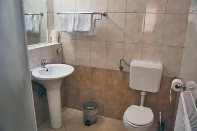 a bathroom with a toilet and a sink at Guesthouse Jersin in Logatec