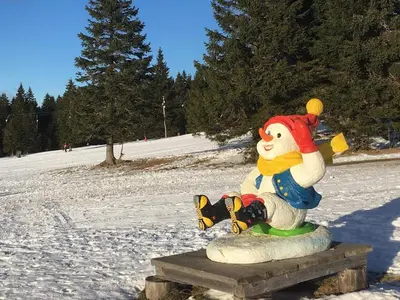 a statue of a chicken sitting on a bench in the snow at Apartma Rogla - Gaber 98 in Resnik