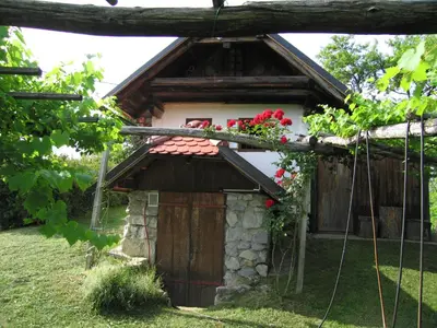 a small house with flowers on the roof at Holiday Home Carovina in Paradiž