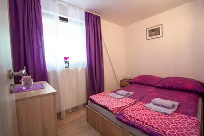 a bedroom with a bed with purple sheets and a window at apartma Golovec in Ljubljana