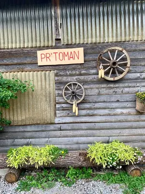 a wooden wall with a sign that reads protonian at Apartma Pr'Toman in Kamna Gorica