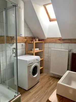 a bathroom with a washing machine and a sink at Apartma Pr'Toman in Kamna Gorica