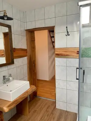 a bathroom with a sink and a shower at Apartma Pr'Toman in Kamna Gorica