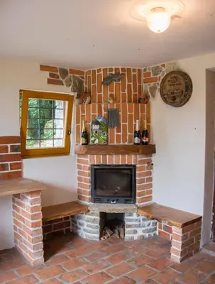 a living room with a fireplace and a tv at Vineyard Cottage Rataj 2 in Novo Mesto