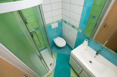 a bathroom with a shower and a toilet and a sink at Apartma Tajč in Bohinj