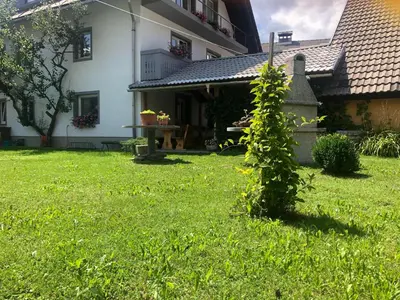 a small tree in the yard of a house at Apartma Tajč in Bohinj