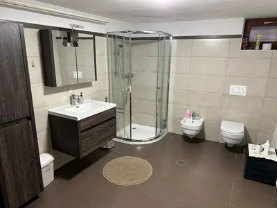 a bathroom with a shower and a sink and a toilet at Holiday house Pr Robč in Bovec