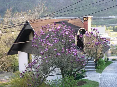 a building with purple flowers in front of it at Apartmaji Mak in Jesenice