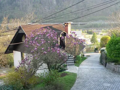 a house with purple flowers on the side of a road at Apartmaji Mak in Jesenice