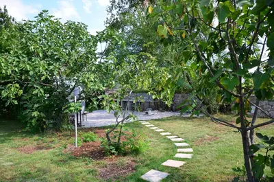 a path in a garden with a tree at Apartma Louis in Dutovlje