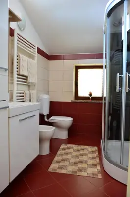 a red bathroom with a toilet and a shower at Apartma Louis in Dutovlje