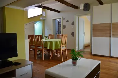 a dining room with a green table and chairs at Apartma Louis in Dutovlje