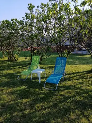 two chairs sitting in the grass under a tree at Apartma Louis in Dutovlje