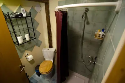 a bathroom with a toilet and a shower at pr' Drašlerju in Dovje