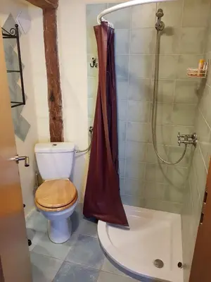 a bathroom with a toilet and a shower at pr' Drašlerju in Dovje